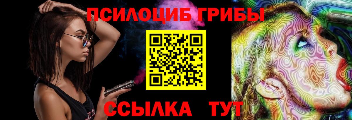 Псилоцибиновые грибы мицелий Уфа